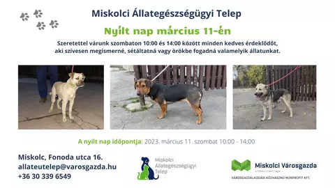 Nyílt nap a Miskolci Állategészségügyi Telepen