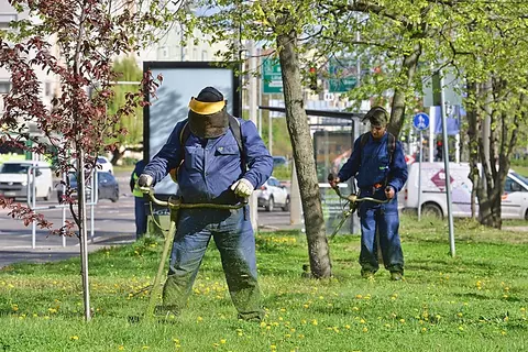 fűnyírás 