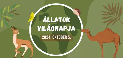 Állatok világnapja a Miskolci Állatkertben