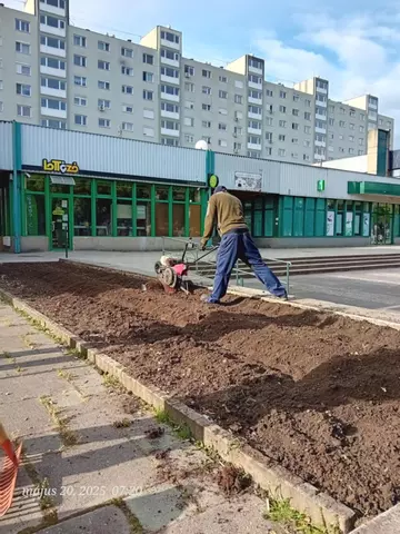 virágágyások előkészítése virágágyások előkészítése