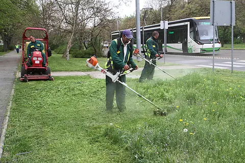 fűnyírási munka fűnyírási munka