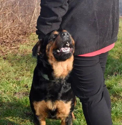 Nyílt nap az Állategészségügyi Telepen