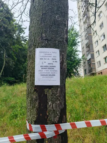 Fakivágás