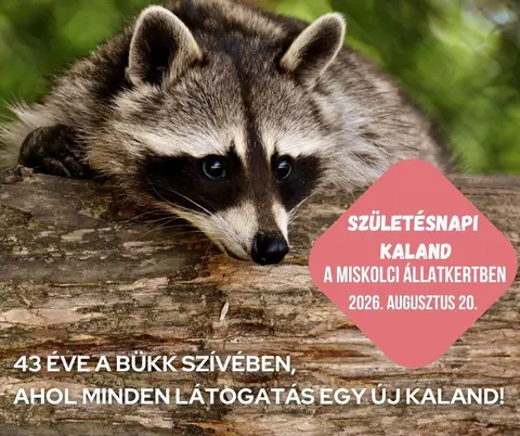 állatkert