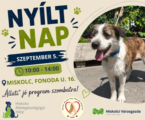 nyílt nap