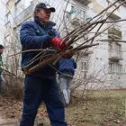 Forrás: minap.hu