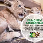 Karácsonyi ajándékötlet - örökbefogadás