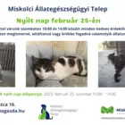 Nyílt nap a Miskolci Állategészségügyi Telepen