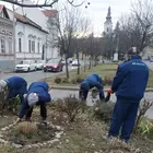 Cserjeápolás 