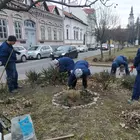 Fasor- és cserjegondozás a Palóczy László utcában