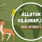 Állatok világnapja a Miskolci Állatkertben