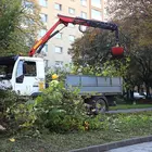 Fotó: Mocsári László