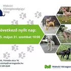 Nyílt nap az Állategészségügyi Telepen