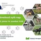 Nyílt nap az Állategészségügyi Telepen